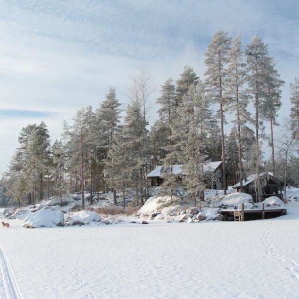 Rental cottage vuokramökki Saimaa