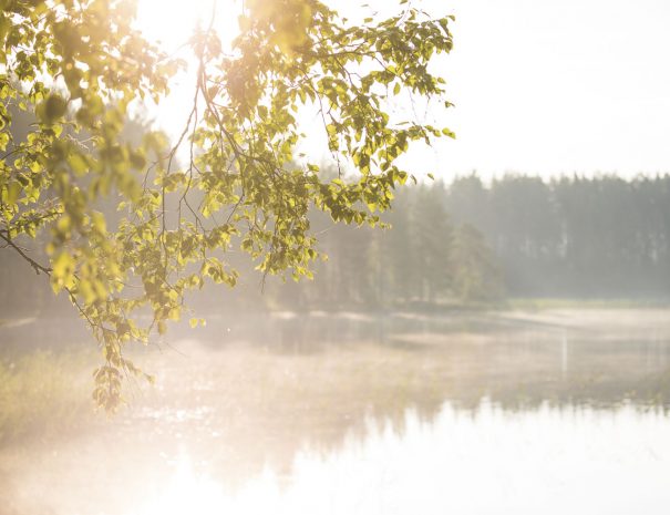 Laiturniemi_maisema 2020