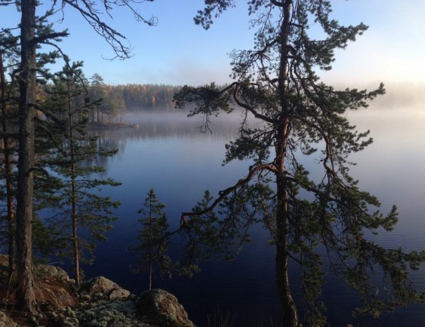 Rental cottage vuokramökki Saimaa