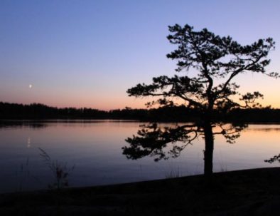 Rental cottage vuokramökki Saimaa