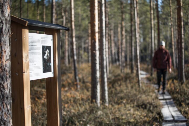 Wanderung auf dem Naturpfad
