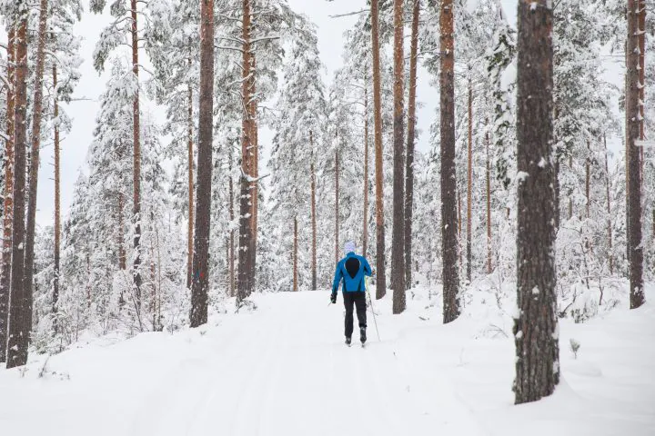 Cross country ski sets
