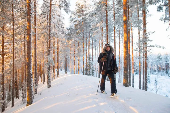 Snowshoes and poles