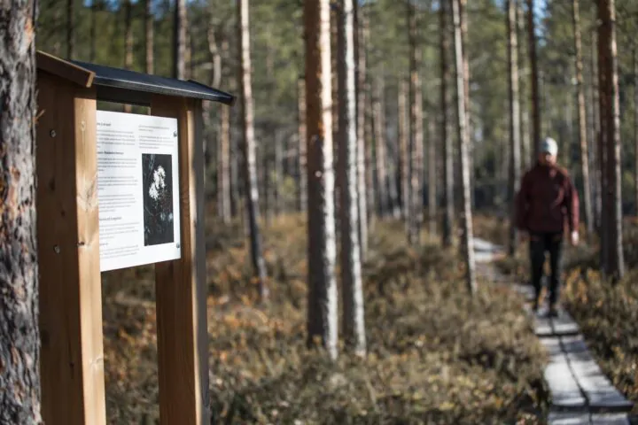 Nature trail trip