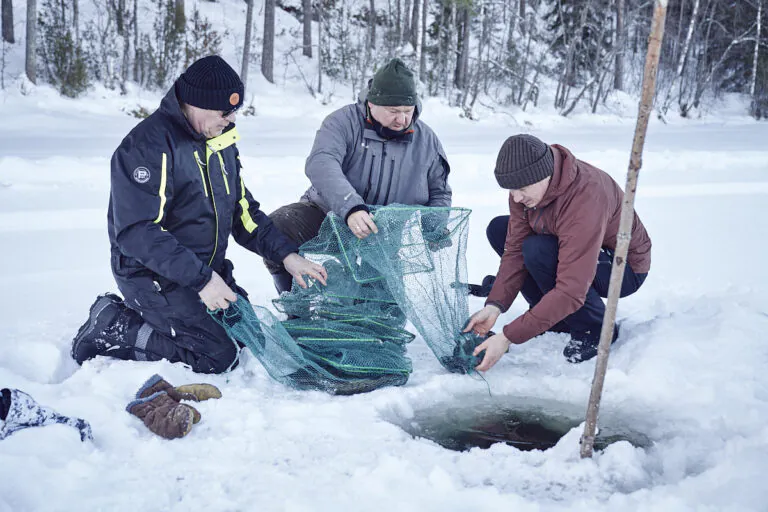 Burbot trap fishing trip